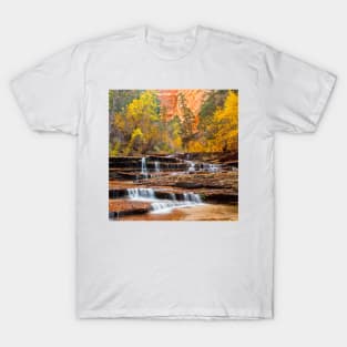 Autumn Falls T-Shirt